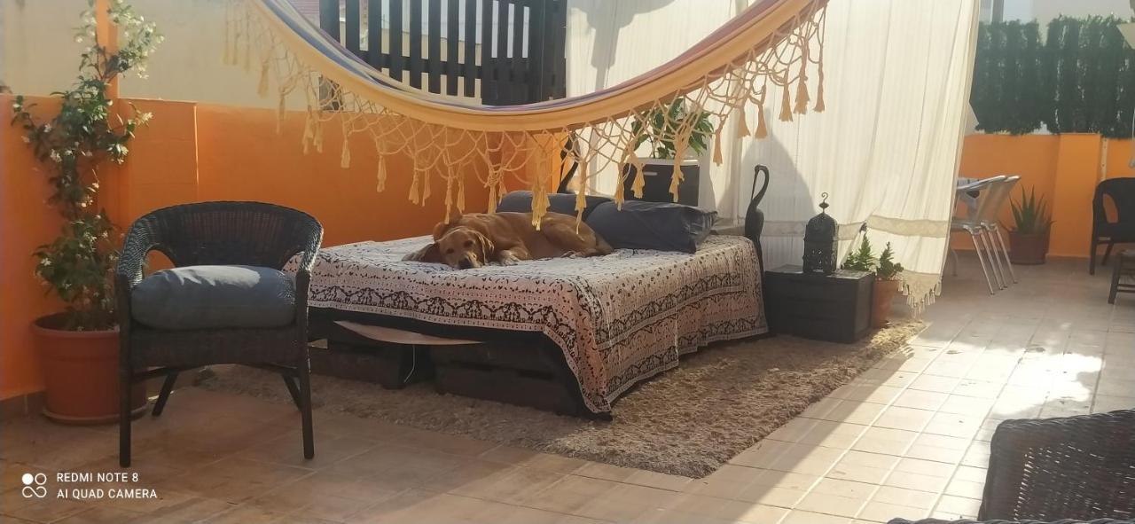 La Casita De Celia Διαμέρισμα Αλικάντε Εξωτερικό φωτογραφία