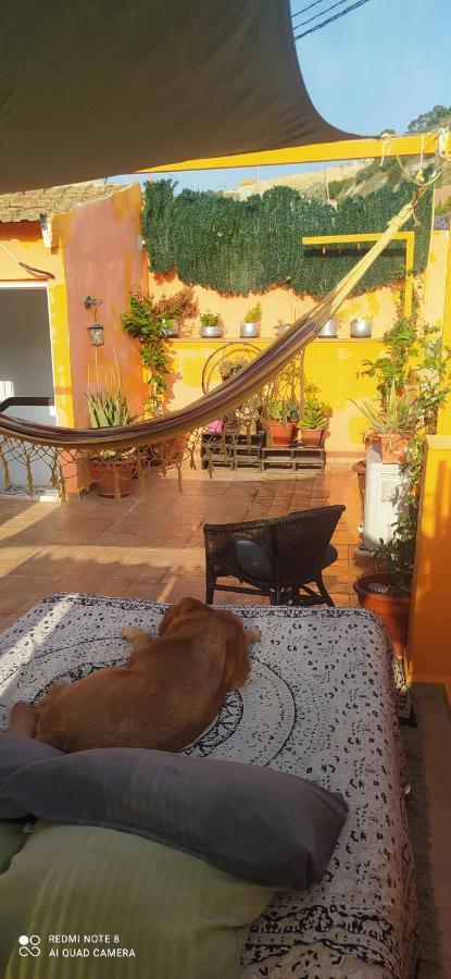 La Casita De Celia Διαμέρισμα Αλικάντε Εξωτερικό φωτογραφία